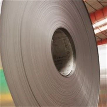 COLD ROLLED STAINLESS STEEL COIL 310