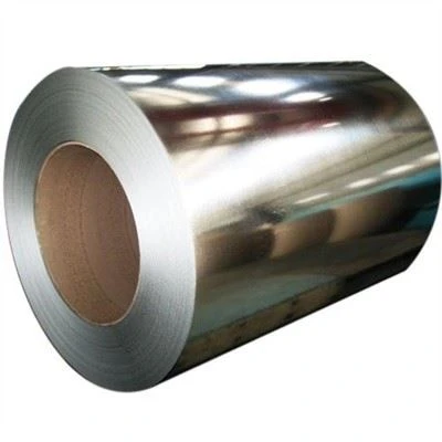 Professional Galvanized Steel Coil