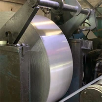 HLADNO VALJANI INOX Z2CN18.10